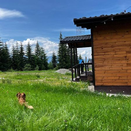 Коттедж Для Отдыха Дискавери Yablunytsia Dış mekan fotoğraf