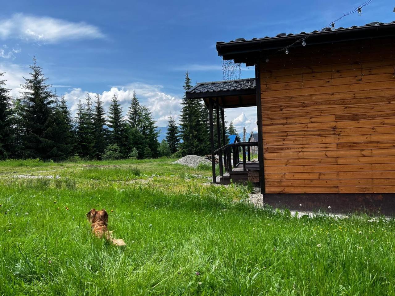 Коттедж Для Отдыха Дискавери Yablunytsia Dış mekan fotoğraf