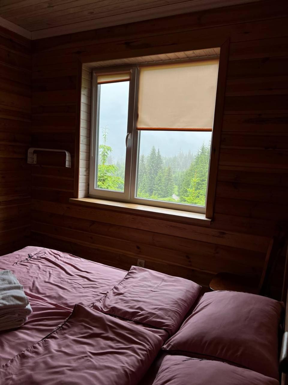 Коттедж Для Отдыха Дискавери Yablunytsia Dış mekan fotoğraf