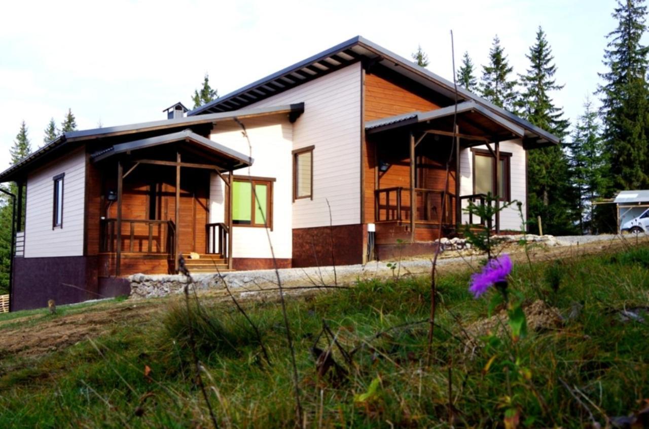 Коттедж Для Отдыха Дискавери Yablunytsia Dış mekan fotoğraf