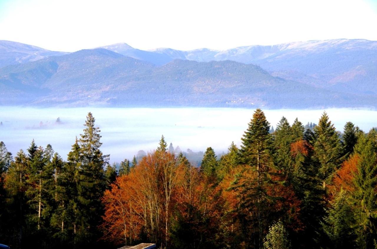 Коттедж Для Отдыха Дискавери Yablunytsia Dış mekan fotoğraf