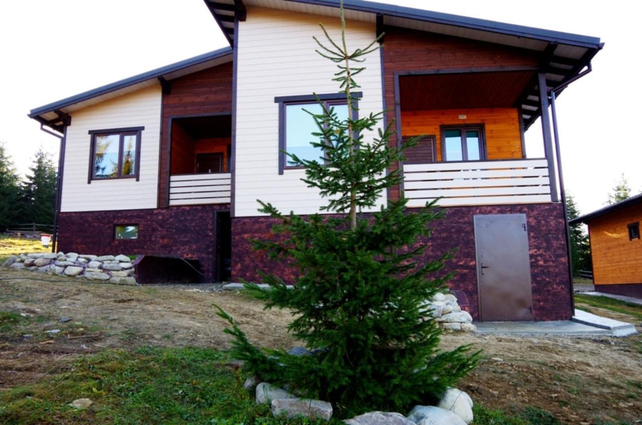 Коттедж Для Отдыха Дискавери Yablunytsia Dış mekan fotoğraf