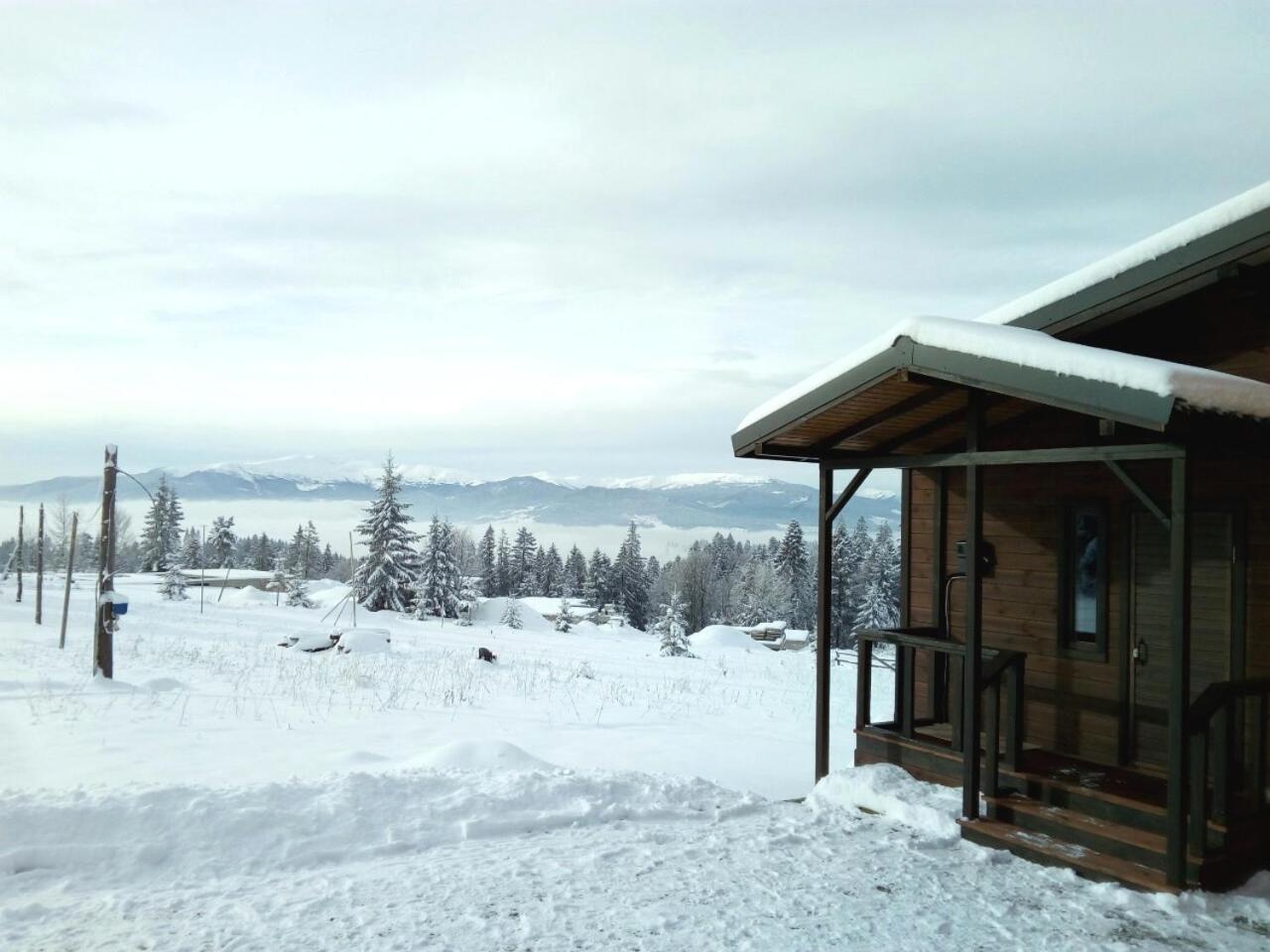 Коттедж Для Отдыха Дискавери Yablunytsia Dış mekan fotoğraf