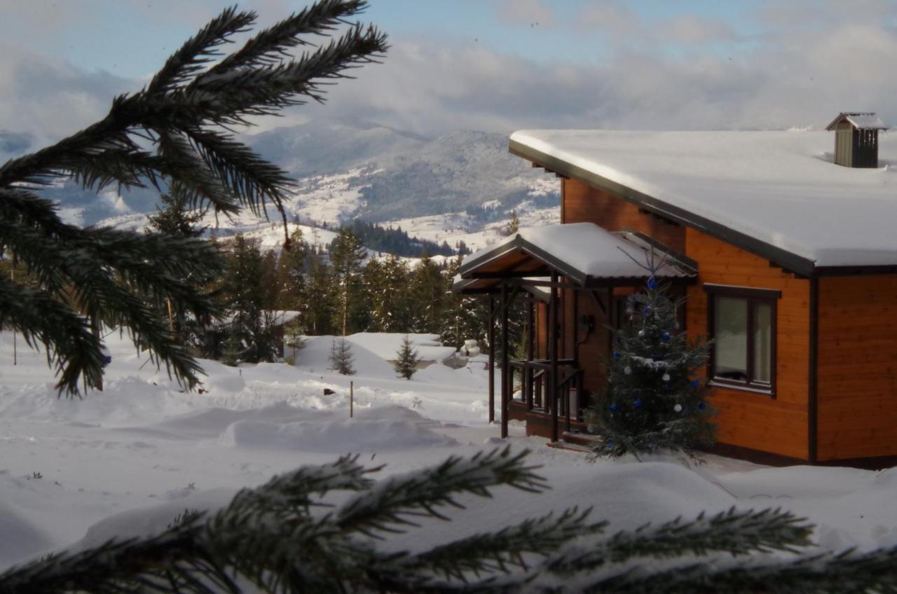 Коттедж Для Отдыха Дискавери Yablunytsia Dış mekan fotoğraf